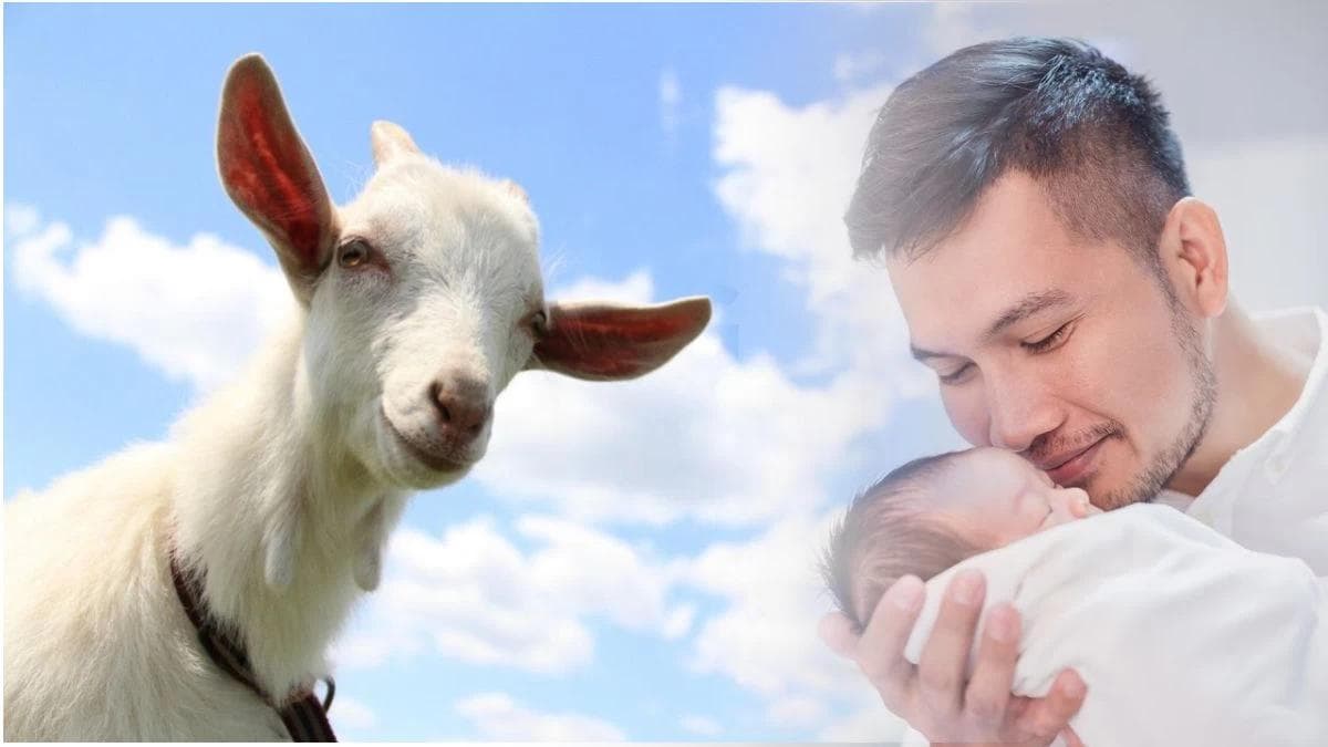 Hukum Berkurban bagi yang Belum Diaqiqahi